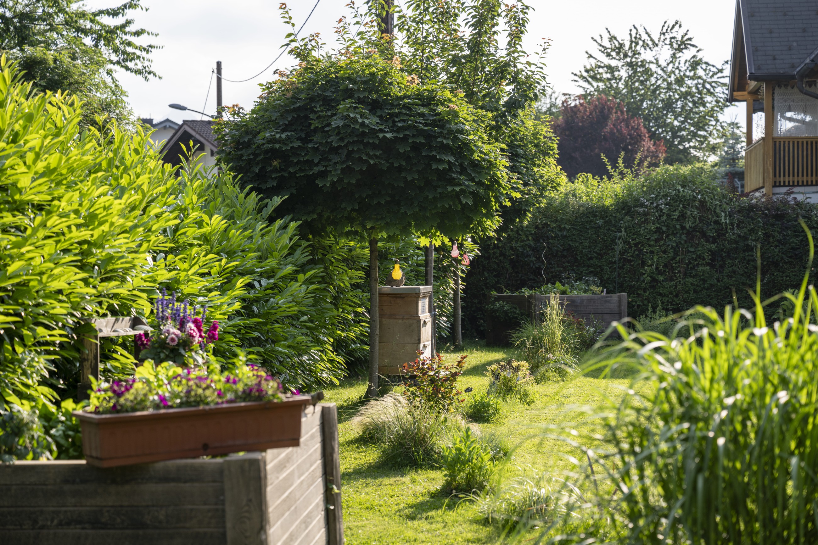 Bienenstock und Kräuterbeet im Garten des HOTEL max70.