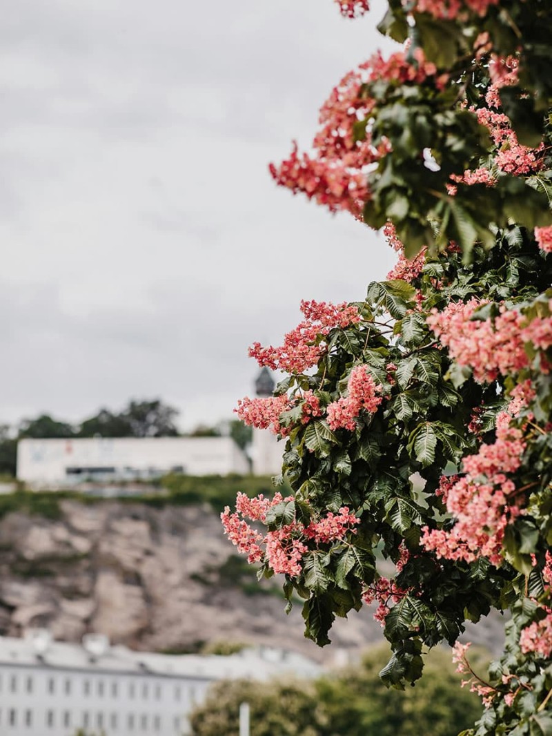 Museum der Moderne am Mönchsberg © Patrick Langwallner, Unsplash