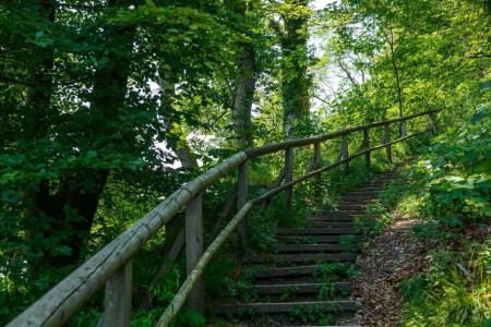 Schallmoser Doblerweg trail on Kapuzinerberg hill | © Salzburg Tourism / G. Breitegger